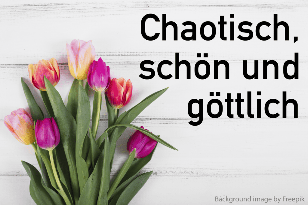 Website mit Titel
